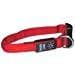 LED Hundehalsband NiteDawg