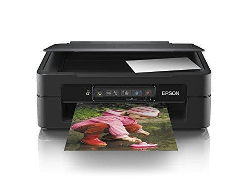 Epson Expression Home Xp 245 Druckt Nicht