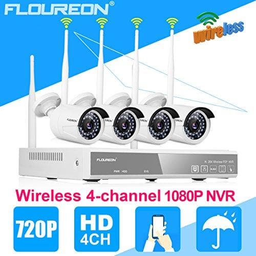 FLOUREON H.264 Wireless P2P NVR