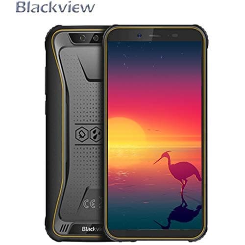 Blackview BV5500 Pro