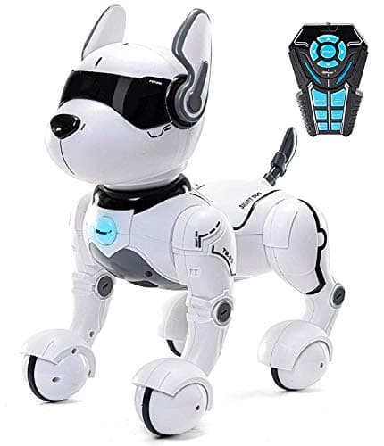 Top Race TR-P5 Smart Dog