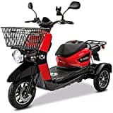 Rolektro E-Carrier 25 V.3