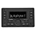 Blaupunkt Palma 190 BT