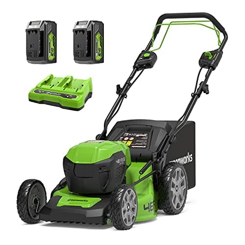 Greenworks GD24X2LM46SP