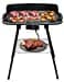 TZS First Austria Standgrill