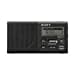 Sony XDR-P1DBP
