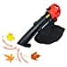 Grafner LS10929