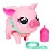 Little Live Pets My Pet Pig