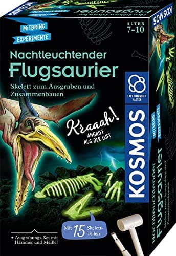 Kosmos Nachtleuchtender Flugsaurier