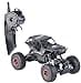 Simulus Rock Crawler
