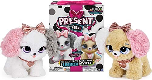 Spin Master Present Pets Fancy