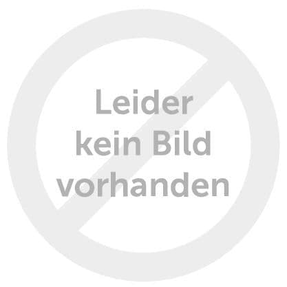 Scheppach GWS 400