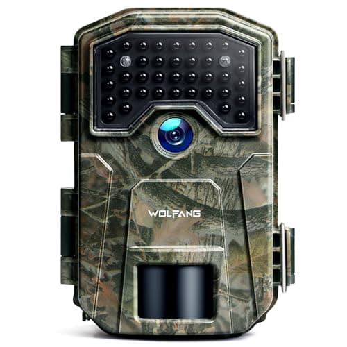 Wolfang WT01