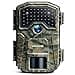 Wolfang WT01