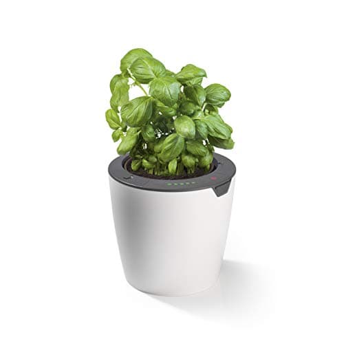 LazyLeaf Blumentopf