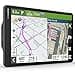 Garmin dezl LGV 1010