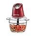 Russell Hobbs Desire Mini-Zerkleinerer