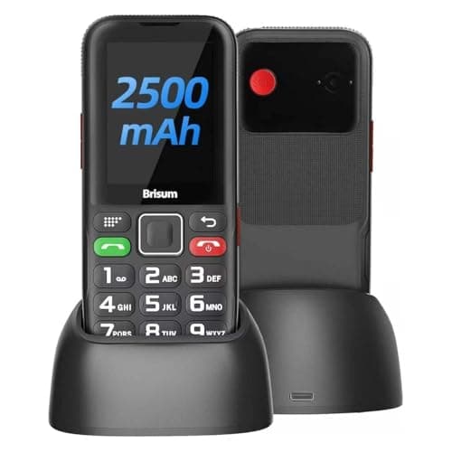 Brisum F22 Seniorenhandy